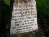 image of grave number 175466